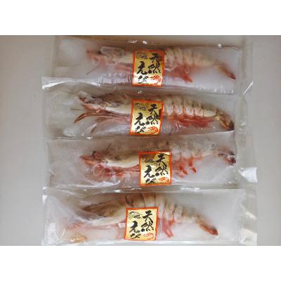 ふるさと納税 飯塚市 天然海老(有頭・4尾) |  | 01