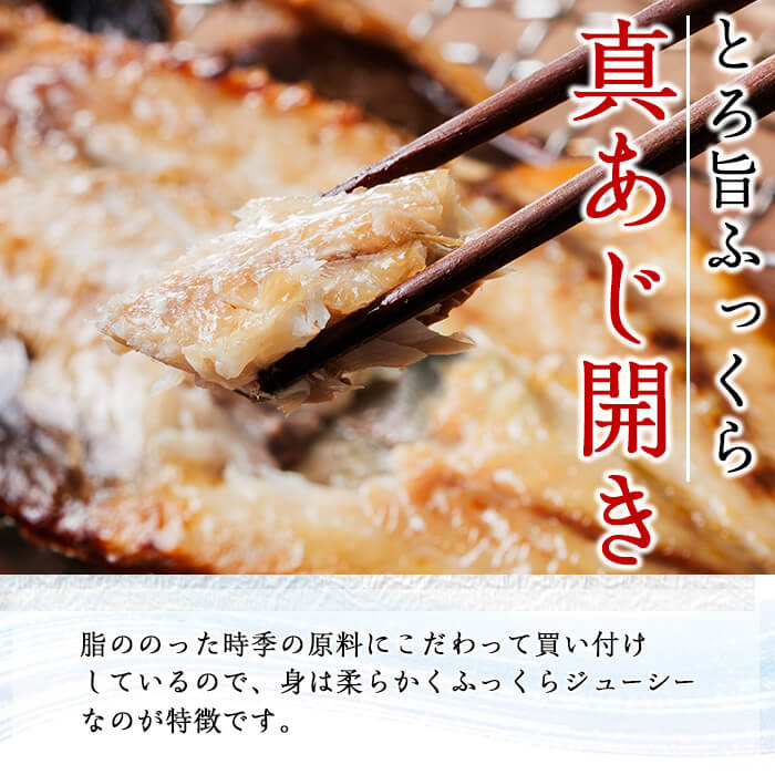 ＜定期便・全4回＞ギフト用品質！九州産 ひもの 季節の 定期便 (総計35枚) 定期 干物 鯛 かます さば サバ あじ アジ 開き 魚 海鮮 冷凍 ひもの 小分け 惣菜 おかず セット ギフト 贈り
