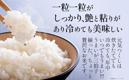 【無洗米 6回定期便】 令和8年産 無洗米 金のめし丸 元気つくし 5kg 定期便 半年 福岡 お米 米 ごはん ご飯 お弁当 おにぎり 金のめし丸県産米 福岡ブランド米 めし丸 ライス rice 飯