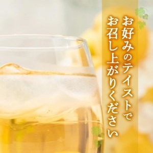 SA1903　酒田の酒屋厳選　子宝リキュール　大吟醸梅酒　720ml×1本