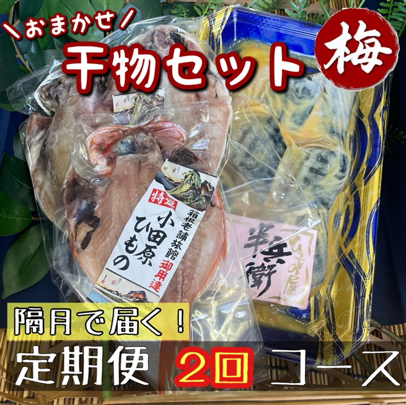 【隔月定期便2回】厳選！小田原の旬の干物セット 梅【 まぐろや 神奈川県小田原市 】 142069_DQ283