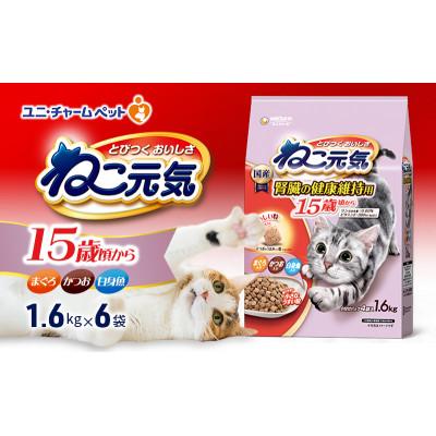 ふるさと納税 伊丹市 ねこ元気 15歳頃から まぐろ・かつお・白身魚入り 1.6kg×6袋[54030477]