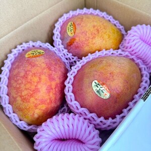 【2026年6月から順次発送・白箱】美ら島マンゴー農園の完熟中城美らマンゴー優品5kg(8～15玉)【配送不可地域：離島】【1672803】