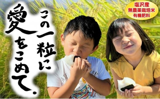 【令和7年産新米予約】この一粒に愛をこめて【四代目田中の最高傑作品】玄米10kg【2025年9月中旬より順次発送予定】