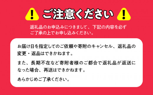 【先行予約】北海道 豊浦町 かぼちゃ 栗大将 約10kg 5～7玉（2025年9月の収穫後より順次発送） TYUL003