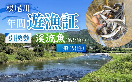 【一般（男性） 渓流魚（鮎を除く）年間遊漁証引換券（令和８年シーズン用）】 釣り 渓流魚 魚 さかな釣り 魚釣り 年間遊漁証引換券 年券 チケット 引換券 根尾川筋漁業協同組