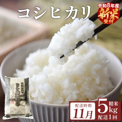 ふるさと納税 石巻市 【11月配送】 <先行受付> 米 令和8年産 コシヒカリ 精米 5kg 単品 新米 こめ コメ お米
