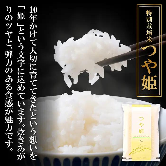 〈先行予約〉新米 令和6年産 美郷町産 特別栽培米 つや姫 10kg (5kg×2袋) 【お米 10kg 5kg×2袋 精米 白米 ブランド米 つや姫 特別栽培米 美郷町産 お米 先行予約 2024年
