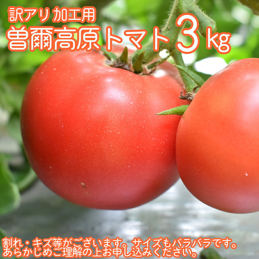 【ふるさと納税】訳あり 自宅用 曽爾高原トマト3kgセット /// 人気の品 期間限定 数量限定 季節の野菜