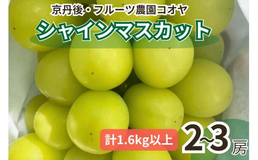 【先行予約／数量限定50】シャインマスカット 1.6kg以上（2～3房入り）（2025年9月上旬～発送）　FK00010