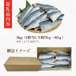 訳あり 塩 サバ フィーレ 3kg さば 鯖 切り身 宮城県 石巻市