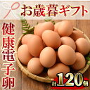 【ふるさと納税】＜2024年お歳暮ギフト＞数量限定！鹿児島県産！健康電子卵(計120個・10個入り×12P) 国産 九州産 たまご タマゴ 玉子 生たまご 親鳥 親鶏 新鮮 鶏卵 常温 小分け パック 朝ごはん おかず 割れ保障 安心 安全【峯元養鶏】