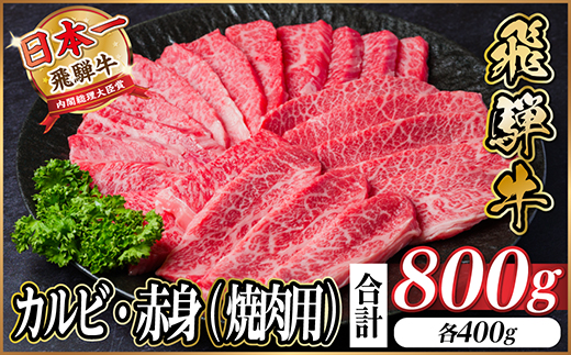 飛騨牛　厳選カルビ・赤身(焼肉・BBQ用)800g　A4〜A5　小分け【配送不可地域：離島】【1543763】
