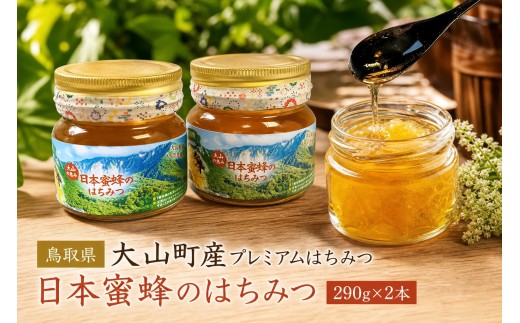 MS-82　大山町産プレミアムはちみつ「日本蜜蜂のはちみつ」（290g×2本）