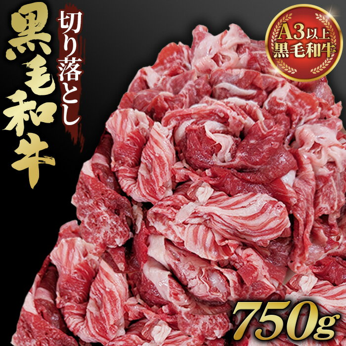 【ふるさと納税】黒毛和牛切り落とし250g×3パック 合計750g［No.430］