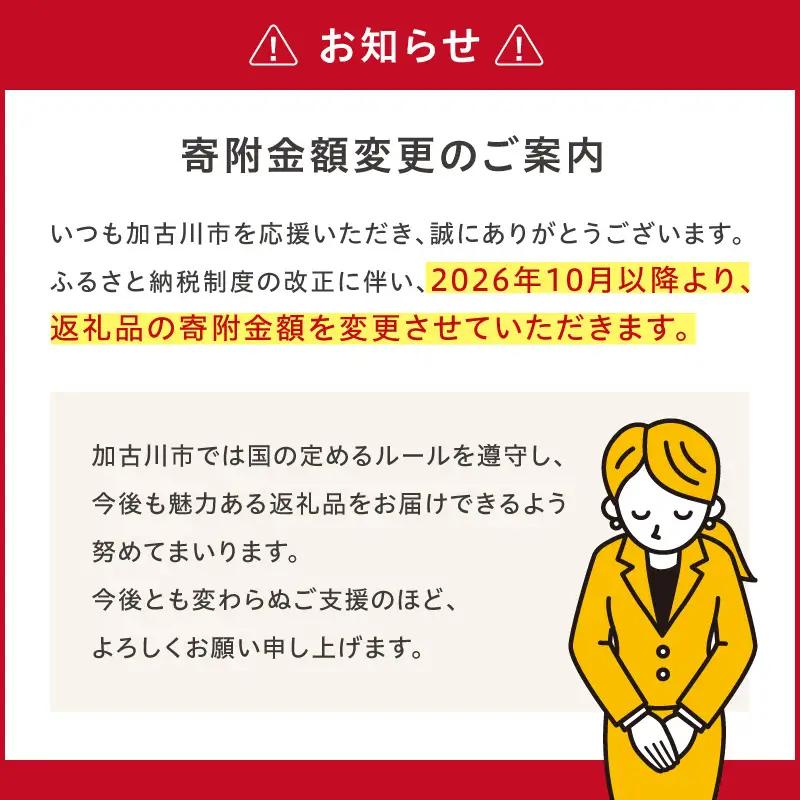 〈2026年10月以降から寄附金額改定〉衣類乾燥除湿機 air dryer DDS03【2407N09604】