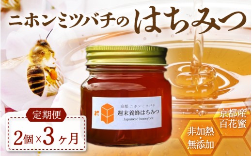 【定期便】 ニホンミツバチのはちみつ 600g×3回 | 京都産 非加熱 国産 百花蜜 自然のままの純粋蜂蜜 はちみつ ハチミツ 蜂蜜 ハニー 瓶詰 （週末養蜂） 毎月定期便 3回定期便