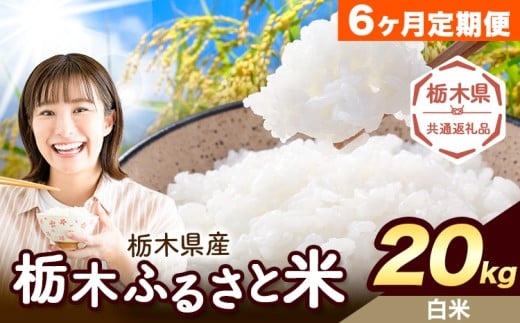 【6ヶ月定期便】米 栃木 ふるさと米 白米 20kg (5kg×4袋)《翌月より出荷開始》栃木県 野木町 米 国産 お米 おこめ お弁当 おにぎり【栃木県共通返礼品】