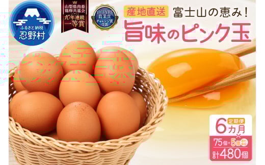 【6ヶ月定期便】”忍野の卵”旨味のピンク玉　※卵75個+割れ保証5個　計480個