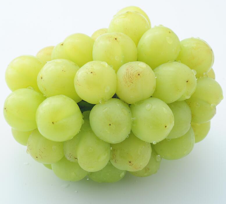 【ふるさと納税】 岡山県 勝央町産 桃太郎ぶどう (瀬戸ジャイアンツ) 選べる 約700g(1房) ／ 1.0kg(2房) ＜10月発送＞