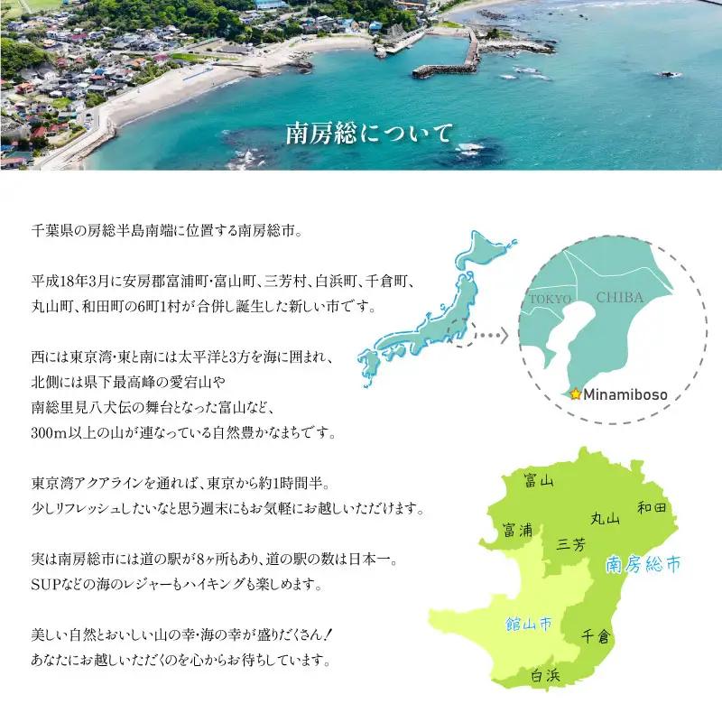 ラムレーズンチーズタルト mi0099-0006