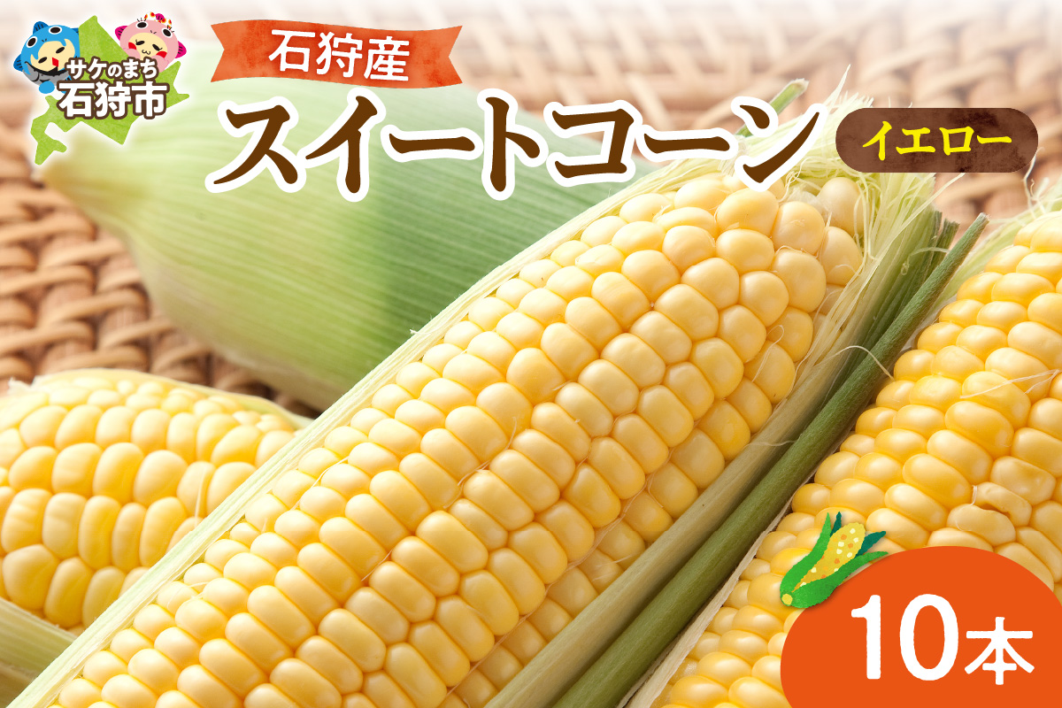 石狩産スイートコーン（色：イエロー） 10本【8月～9月発送】_is005-035-000