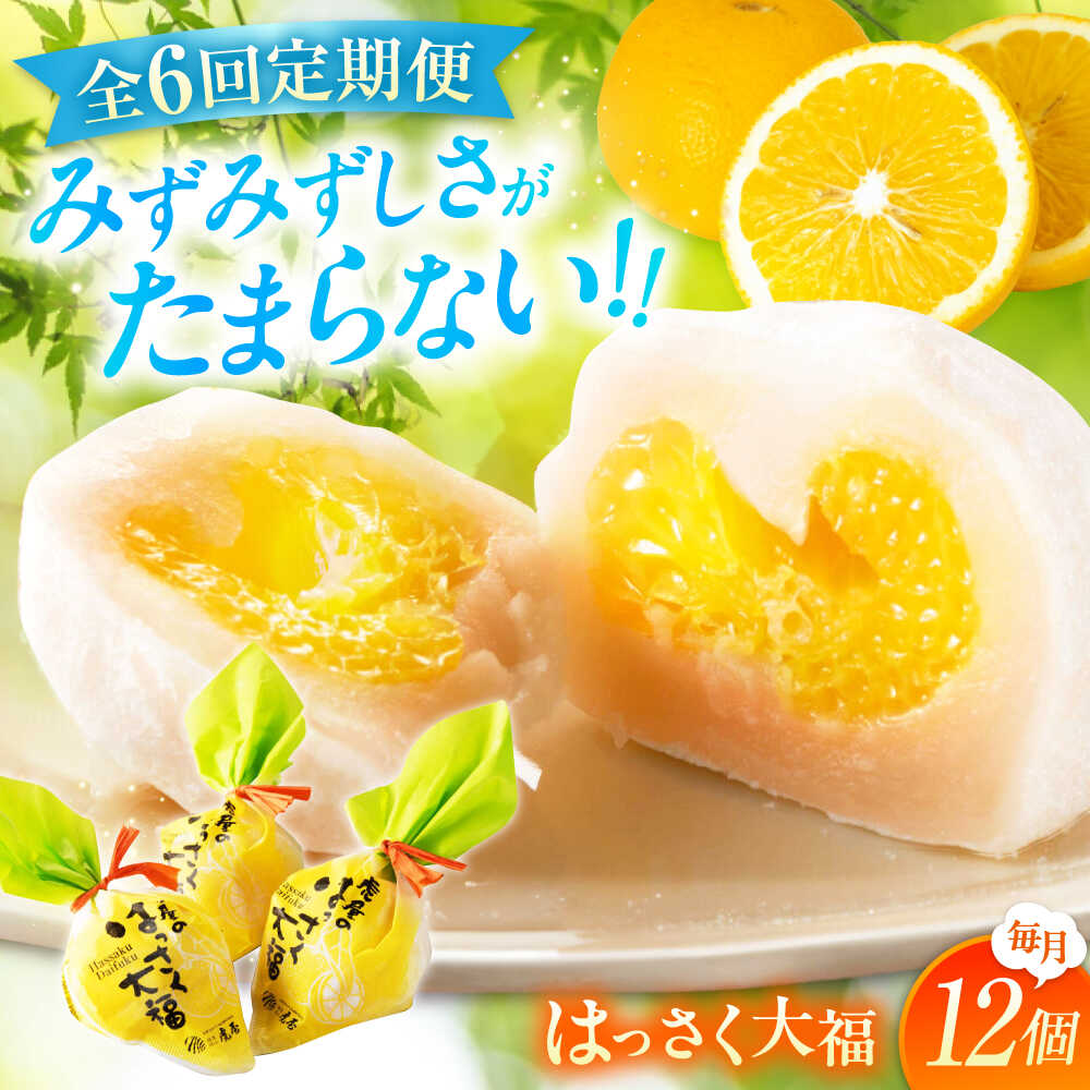 【ふるさと納税】【6回定期便】お菓子 はっさく大福12個入 お菓子 大福 八朔 柑橘 みかん オレンジ 餅 ギフト お取り寄せ スイーツ フルーツ大福 ご当地 菓子 おかし デザート 食品 人気 おすすめ 広島県福山市/株式会社虎屋本舗[BADH015]