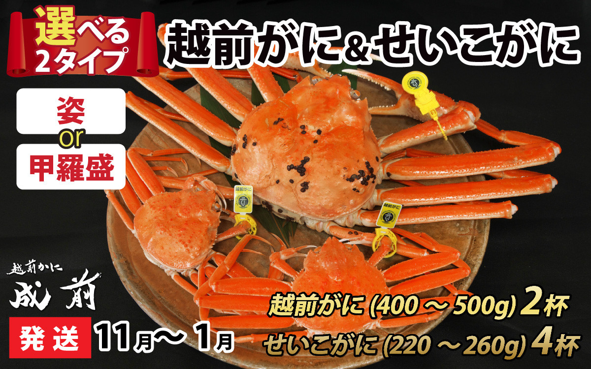 
美味しさ直送！ 【成前特選】越前がに（400g～500g）×2杯 　せいこがに（220g～260g）×4杯 合計6杯【11月～1月発送】 [O-028064]
