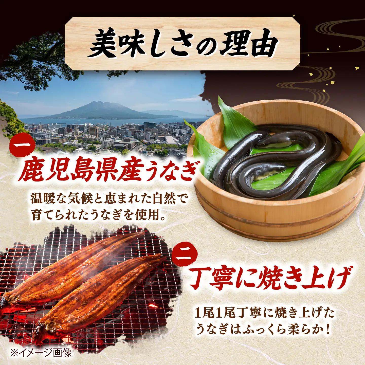 全12回定期便 鹿児島産うなぎ2尾 蒲焼・白焼セット 桂川町/山水商事 [ADAH020] うなぎ 蒲焼き 白焼き セット 九州