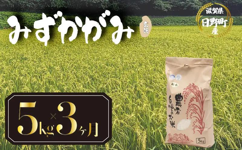 【先行予約】令和8年産 新米 みずかがみ 5kg 定期便 3ヶ月 玄米 米