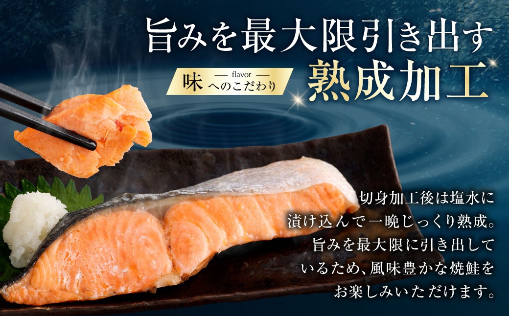 訳ありプレミアムグレード塩水熟成厚切り銀鮭切身約1kg