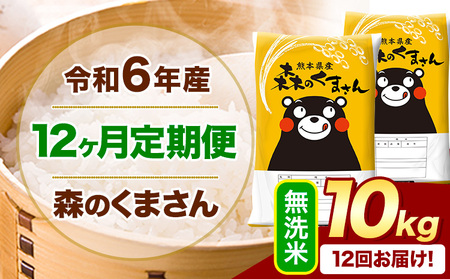 【12ヶ月定期便】令和6年産 無洗米 森のくまさん 10kg｜米定期米定期米定期米定期