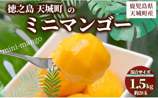 
            【数量限定】【ご家庭用】徳之島 天城町産 ミニマンゴー 1.5kg マンゴー フルーツ P-21
          