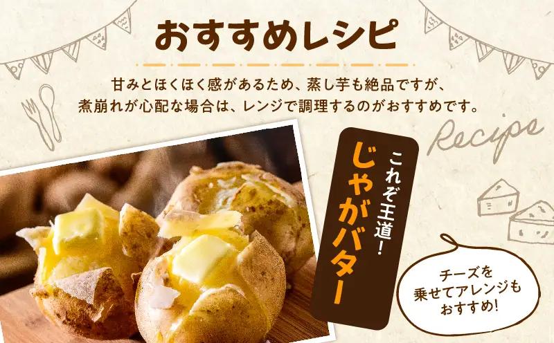 【令和8年産先行受付】北海道産 じゃがいも 「きたあかり」 S～LLサイズ10kg《9月より発送》