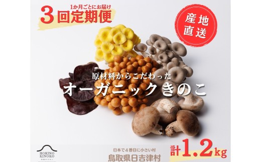 【3回定期便】オーガニックきのこ 5種 定期便【きのこセット きのこ 定期便 しいたけ なめこ きくらげ ひらたけ たもぎ茸 詰め合わせ 茸 キノコ 鳥取県産】