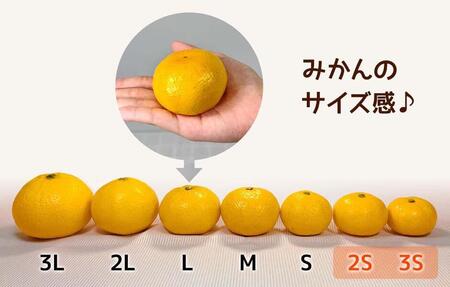 ゆら早生 みかん 小玉ちゃん 箱込2.5kg(内容量 2.3kg) 2Sサイズ以下 秀優混合 有田みかん 和歌山県産 【みかんの会】