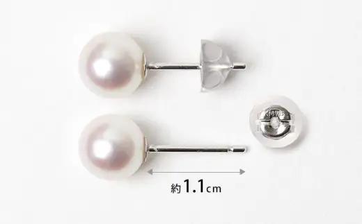 あこや真珠 ピアス 8.0-8.5mm K14WG ホワイトゴールド パール 真珠 あこや レディース アクセサリー ジュエリー オシャレ 装飾 装飾品 カジュアル シンプル 宝石保証書 ギフト ケー
