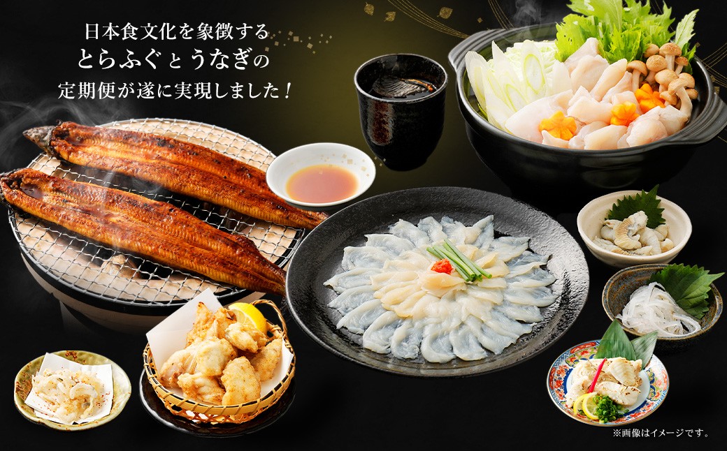 天草とらふぐてっちり+天草藍うなぎ