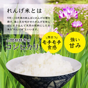 【令和5年産・12か月定期便】コシヒカリ精米5kg×12ヶ月 【 丹波産 特別栽培米 星ひかり 星原ファーム 綾部 京都 丹波 こしひかり お米 米 5キロ 12ヶ月 1年間 農家直送 定期便 】