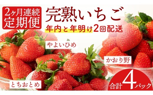 
                  【12月&1月】 全2回 定期便 採れたて完熟いちご 260g×2パック×2回 2ヶ月 かおり野 とちおとめ やよいひめ 国産 イチゴ 苺 年内 年末 年始 [BC092sa]
                