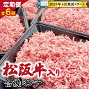 【ふるさと納税】 【 定期便 全6回 】 松阪牛入り 合挽ミンチ 400g×4p 【受付時期・発送時期限定】 肉 牛 牛肉 和牛 ブランド牛 高級 国産 冷凍 ふるさと 人気 ハンバーグ ギョーザ そぼろ 小籠包 肉まん 合いびき あいびき SS9