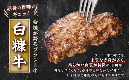白糠牛100％ハンバーグ【150g×4個】合計600g 北海道産 牛肉100% ハンバーグ 職員大絶賛!! 肉汁 旨味ぎっしり ふるさと納税 ハンバーグ 白糠牛100% 国産 大容量 小分け 簡単調理