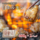 【ふるさと納税】ホルモン 白 焼肉 黒毛和牛 真空 400g×2パック 小腸 小分け 丸腸 牛 シマチョウ パック おおいた豊後牛 白ホルモン もつ 国産 九州 冷凍