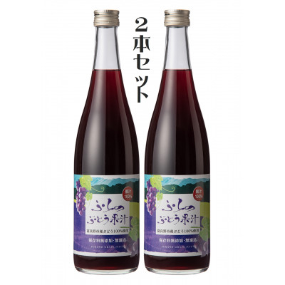 
            ＜数量限定＞ふらのぶどう果汁(赤)　2本セット【1609678】
          