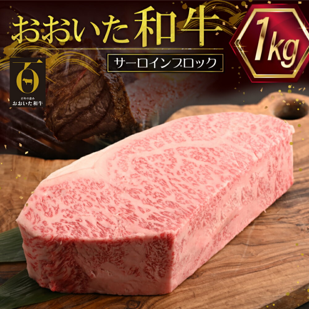 【ふるさと納税】おおいた 和牛 サーロイン ブロック 【 1 kg 】牛肉 九州産 大分県産 姫島村 G24