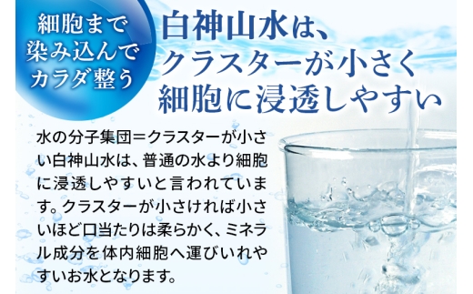 【定期便4ヶ月】白神山水（2L×12本） 水 ミネラルウォーター