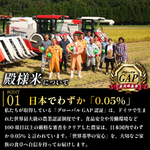 新米予約 新潟県産 越後菅谷殿様米 5㎏ 令和6年産 新潟県産 新発田産 米 5kg 越後菅谷 殿様米 コシヒカリ D05_03 