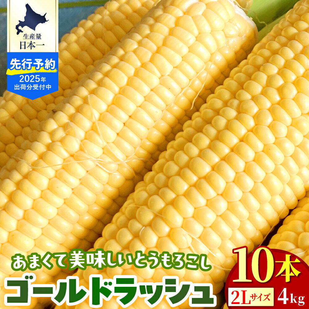 【ふるさと納税】【2025年分先行予約】ゴールドラッシュ 2L サイズ 10本 セット / とうもろこし スイートコーン 北海道 トウモロコシ コーン 朝採り 採れたて 糖度 野菜 新鮮 BBQ 送料無料 北海道十勝 芽室町