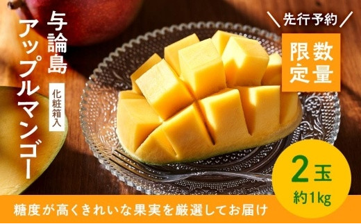 
            【数量限定】鹿児島 与論島アップルマンゴー特A秀品大玉２個約１キロ 化粧箱入り【先行予約】
          