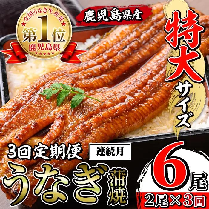 【3回定期便(連続月)】鹿児島県産 うなぎ蒲焼 特大 サイズ 2尾セット ＜（約220g×2・計約440g）×全3回＞  【薩摩川内鰻】 i1172-A